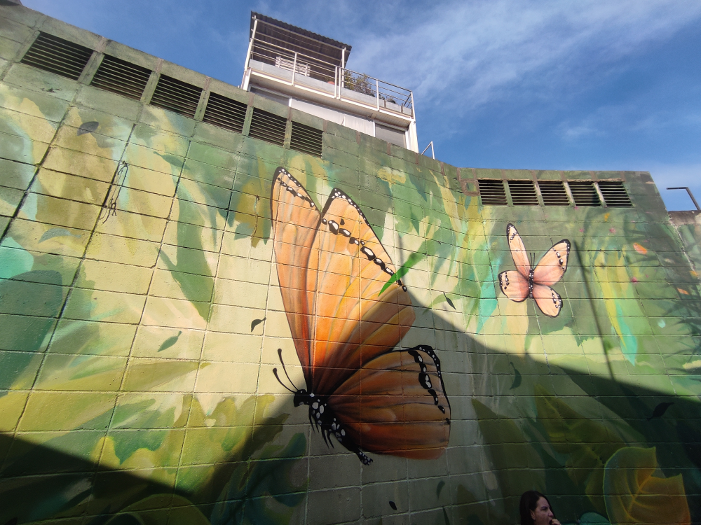 Ankommen in São Paulo – Unsere Radreise ins Ungewisse [#30]