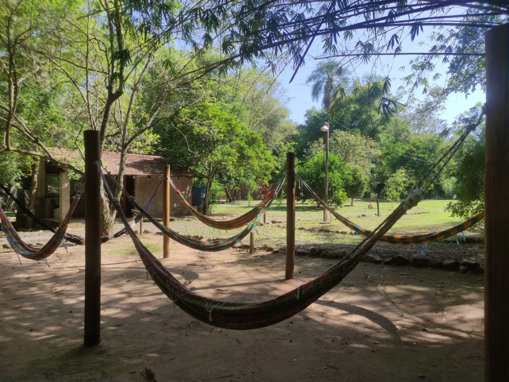 Foto von den Hängematten auf dem Campingplatz