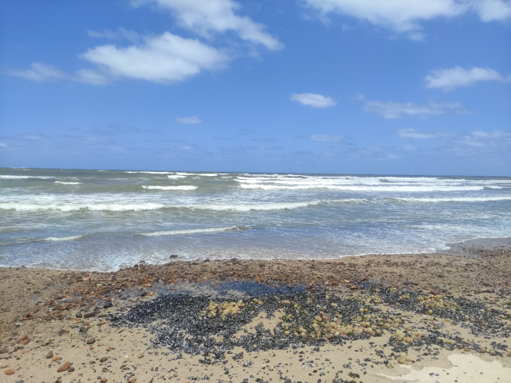 Fahrrad fahren an der rauen Atlantikküste Uruguays [#40]